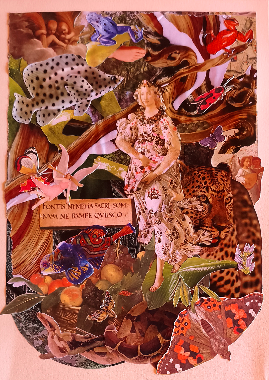 Analog Collages